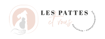 dark logo